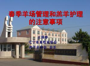 羊场管理和羔羊护理的注意事项